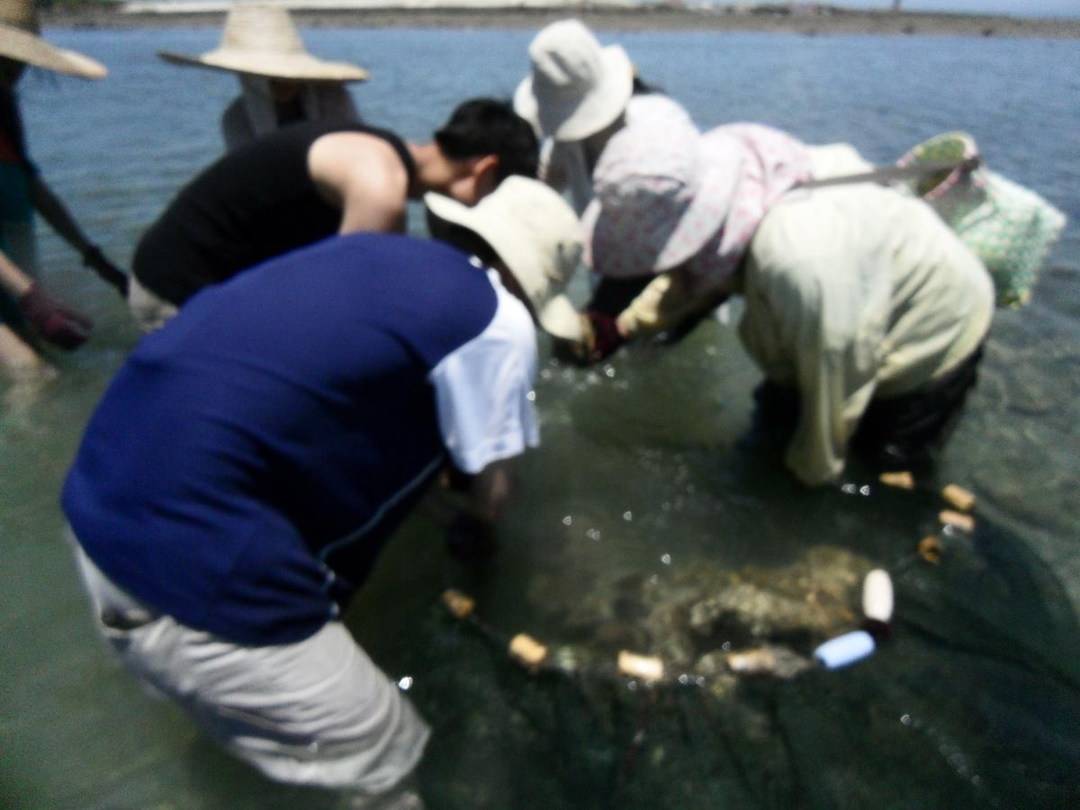 Penghu Chenhi Bay Homestay Baisha Dış mekan fotoğraf